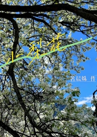 西兰花鳕鱼胡萝卜烩饭