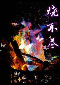 烧不尽的野火歌词